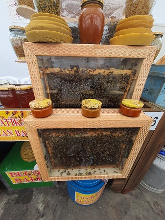 На 22-й Республиканской ярмарке-продаже пчеловодческой продукции участвуют 250 пчеловодов Азербайджана/эксклюзив/